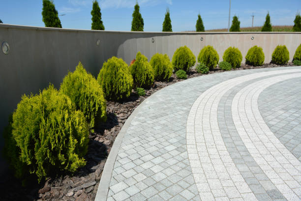 Best Driveway Paving Contractor  in Neshanic Station, NJ